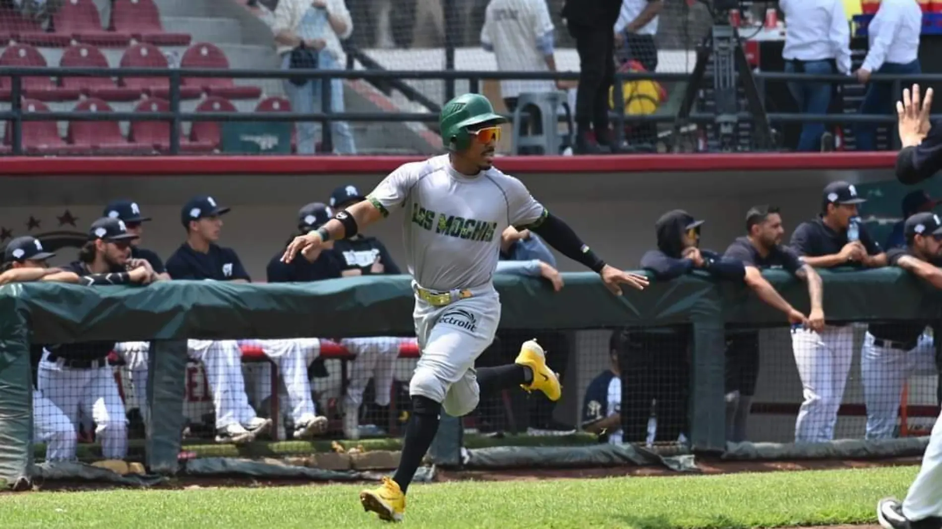 cañeros de los mochis jugadores